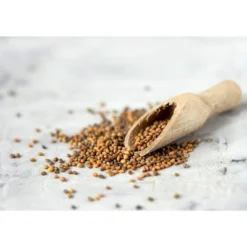 Organic Arugula Sprouting Seeds - By Food To Live -Food Sale Stores GUEST 0c1f64b2 29a6 45b6 8867 40311b45f522