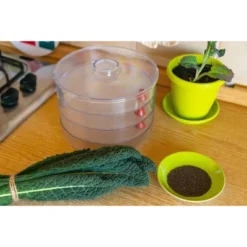 Kale Seeds For Sprouting - By Food To Live 15 Kale Seeds For Sprouting - By Food To Live -Food Sale Stores GUEST 0e13ed5a 6958 4b83 bde0 d13296b9149b