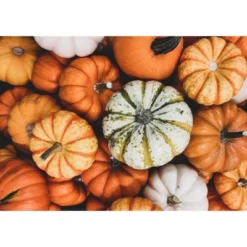 Organic Dry Roasted Pumpkin Seeds In Shell With Himalayan Salt - By Food To Live -Food Sale Stores GUEST 29b222ea 13d0 41a2 ab02 b1270fff78cd