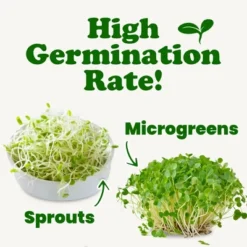 Organic Clover Sprouting Seeds - By Food To Live -Food Sale Stores GUEST 48ab798b 7256 4954 af6a b45f2e405bc9