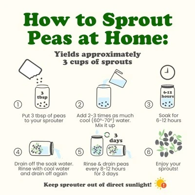 Organic Brown Speckled Peas - By Food To Live 8 Organic Brown Speckled Peas - By Food To Live - Image 6