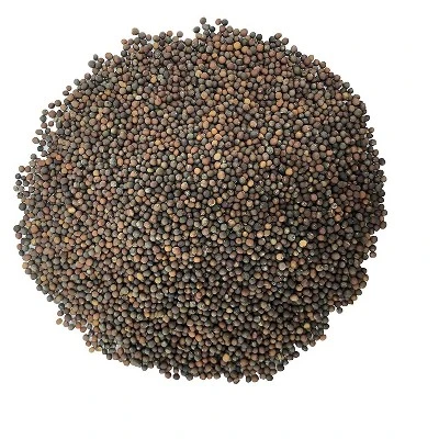 Kale Seeds For Sprouting - By Food To Live 4 Kale Seeds For Sprouting - By Food To Live - Image 2