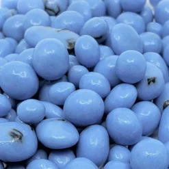 Greek Yogurt Covered Blueberries By It's Delish -Food Sale Stores GUEST 64018692 8dbe 4750 83be 2f26e96c8630