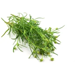 Organic Whole Psyllium Seeds - By Food To Live -Food Sale Stores GUEST 710a67d5 1ada 4bc2 89d4 8f3812438288