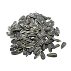 Hill's 12 Oz Full Salt Sunflower Seeds - Pack Of 3 -Food Sale Stores GUEST 71fedeca 6c10 4ee3 b902 a9e0f6dad40f 1