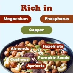 Organic Active Life Trail Mix — Raw And Non-GMO Snack Mix Contains Cashews, Pumpkin Seeds, Apricots, Hazelnuts, Almonds. Vegan, Kosher, Bulk -Food Sale Stores GUEST 73ffeec3 d5ab 421c 8b66 3a021364245d