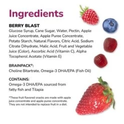 Brainiac Kids Fruit Snacks With Omega-3s Berry Blast - 12.4oz/20ct -Food Sale Stores GUEST 838ac3a8 2520 4912 bef6 9521f277e748