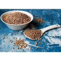 Organic Red Lentils Whole - By Food To Live -Food Sale Stores GUEST bd547b24 d5b9 494a bcc9 4fe2547dcd13