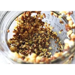 Organic Arugula Sprouting Seeds - By Food To Live -Food Sale Stores GUEST d80d3ce8 a456 4a0a b4b0 957784ca9b10