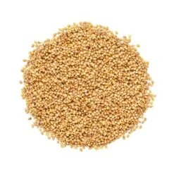 Organic Clover Sprouting Seeds - By Food To Live -Food Sale Stores GUEST e2e81a0a 610d 4db9 b0a7 21609c6999e5