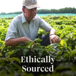 Starbucks Sunsera Blend Blonde Roast Keurig K-Cup Coffee Pods - 22ct 14 Starbucks Sunsera Blend Blonde Roast Keurig K-Cup Coffee Pods - 22ct -Food Sale Stores GUEST f15c4231 ddf0 4617 b334 a0cb79c8ff9c 1