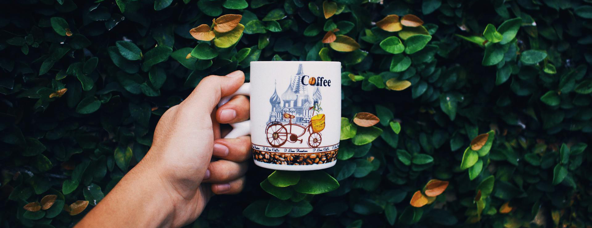 Food Sale Stores -Food Sale Stores pexels ian panelo 7198273